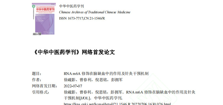 RNA m6A修饰在脑缺血中的作用及针灸干预机制